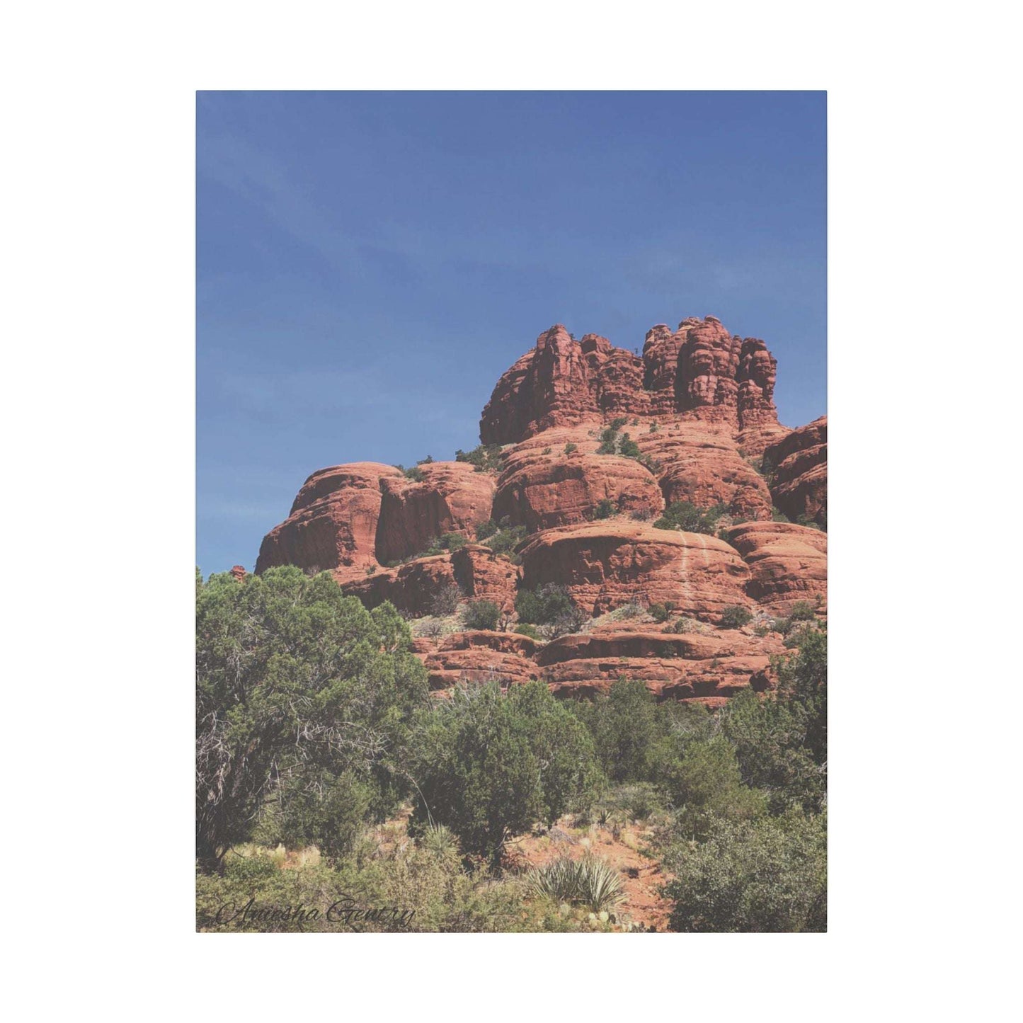 Majestic Red Rock Landscape - Stretched Canvas Wall Art, Wall Decor