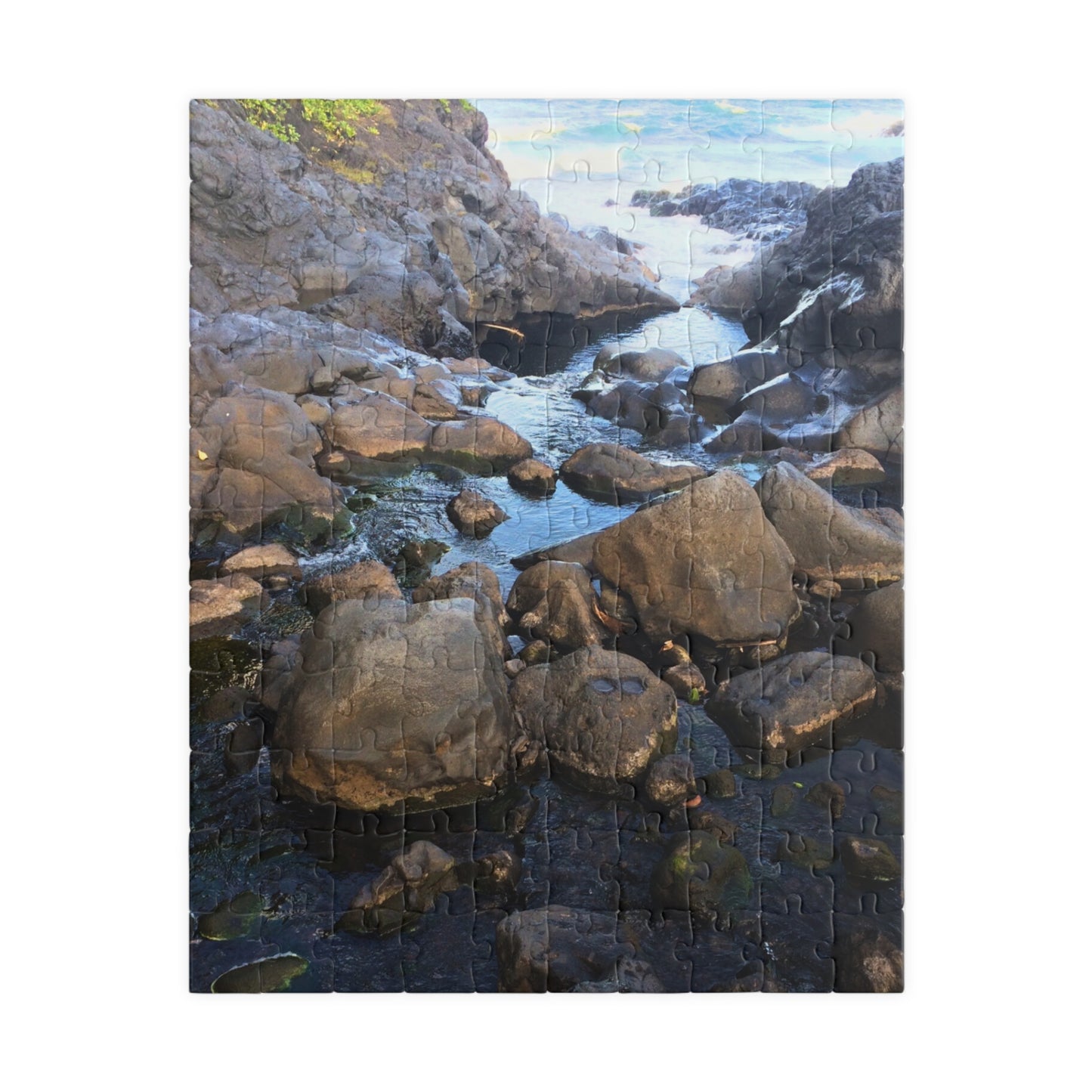 Serene Pool Flow Nature Puzzle (110-1014 Pieces)
