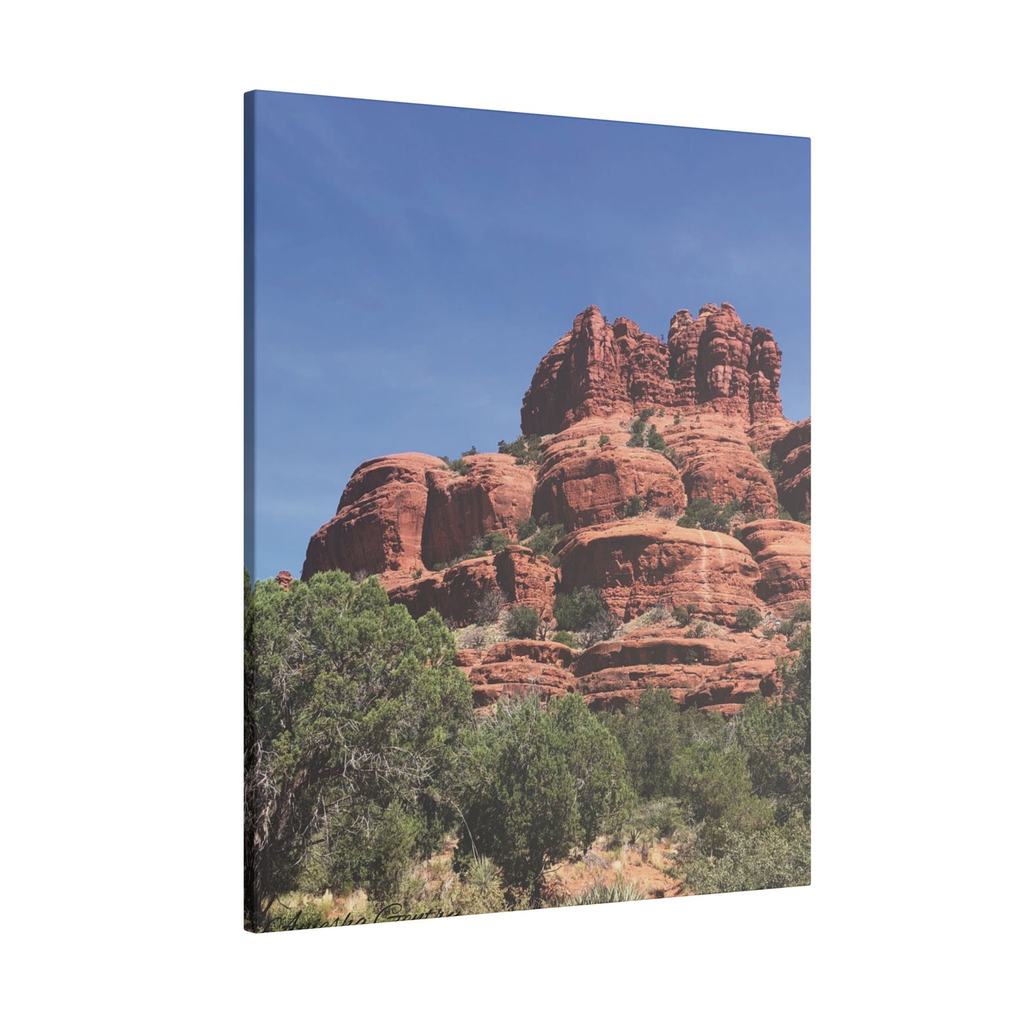 Majestic Red Rock Landscape - Stretched Canvas Wall Art, Wall Decor