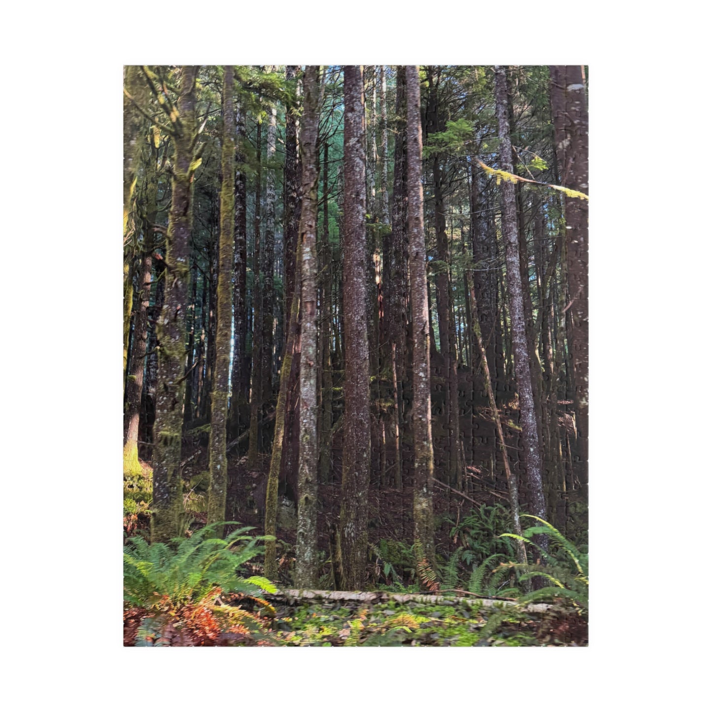 Tranquil Trees Nature Puzzle - (110 - 1014 Pieces)