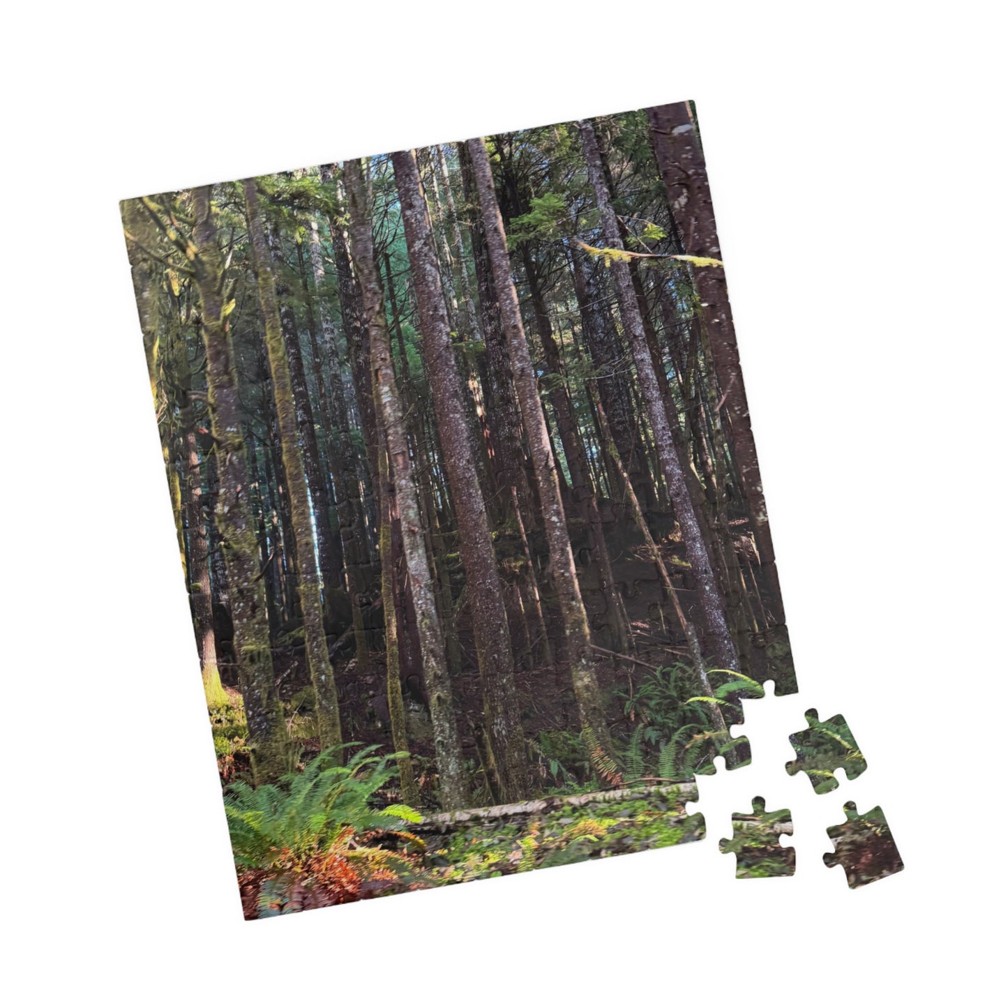 Tranquil Trees Nature Puzzle - (110 - 1014 Pieces)