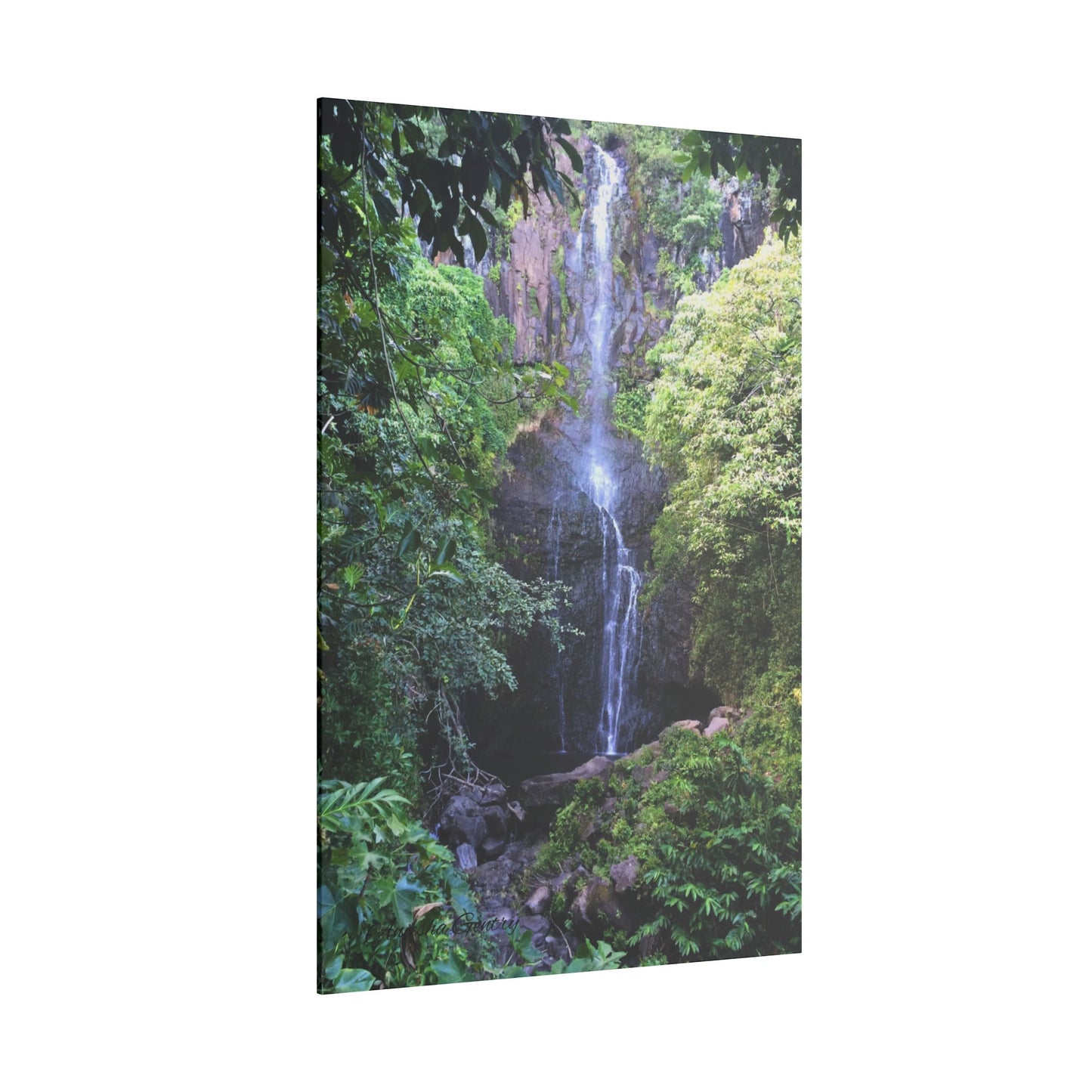 Hidden Waterfall - Stretched Matte Canvas Art Print for Nature Lovers