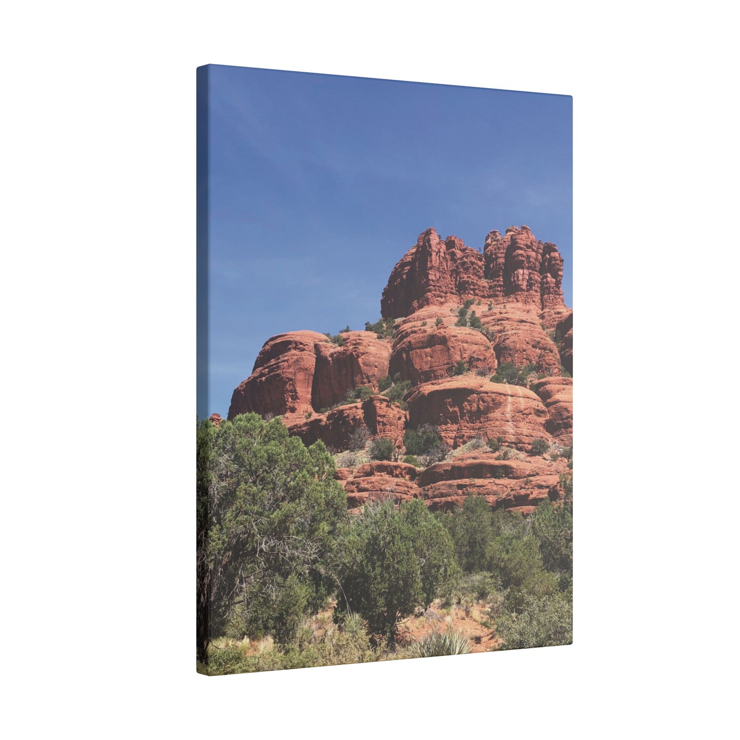 Majestic Red Rock Landscape - Stretched Canvas Wall Art, Wall Decor