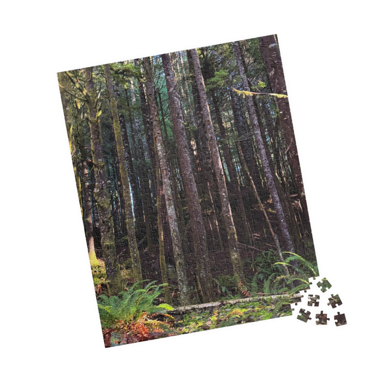 Tranquil Trees Nature Puzzle - (110 - 1014 Pieces)