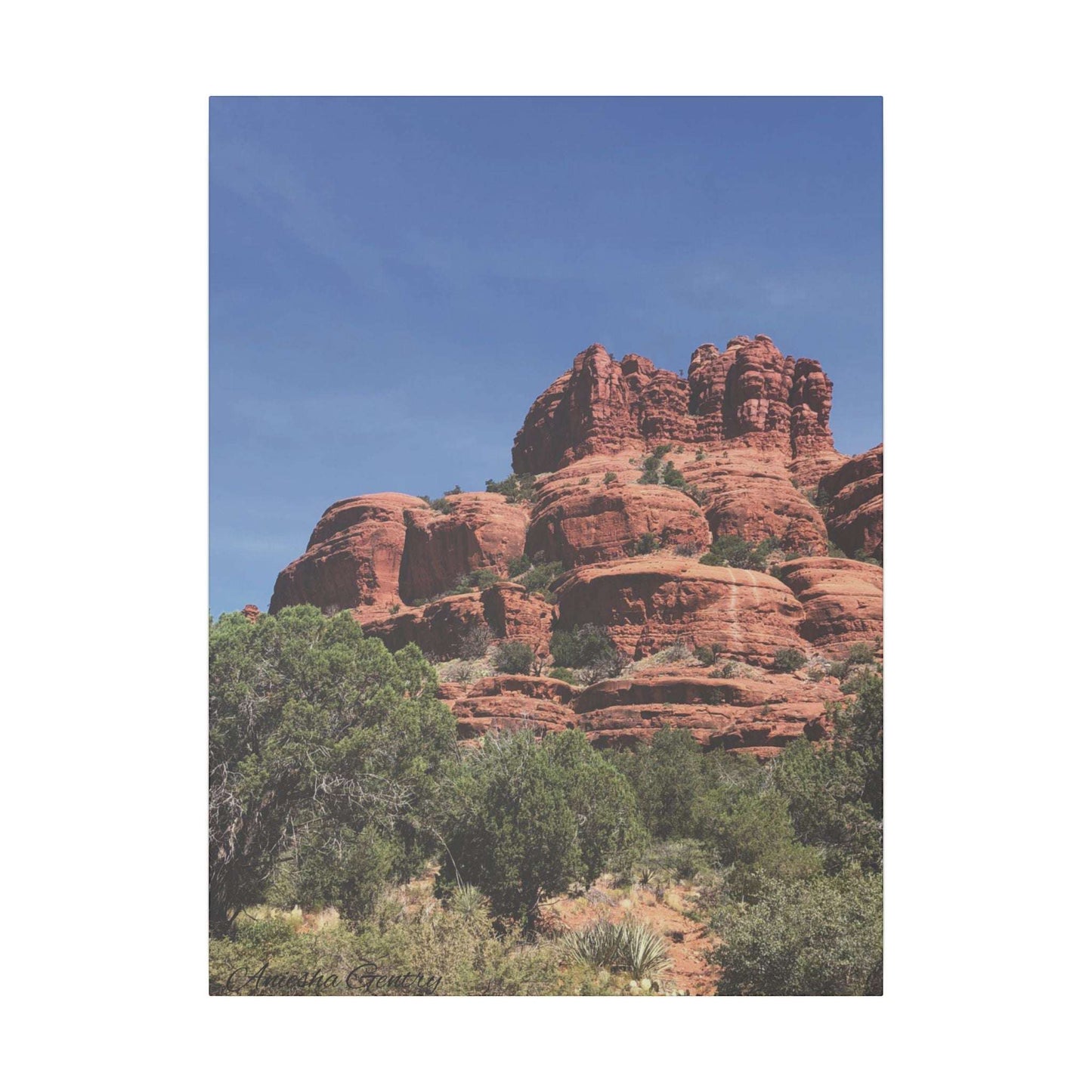 Majestic Red Rock Landscape - Stretched Canvas Wall Art, Wall Decor