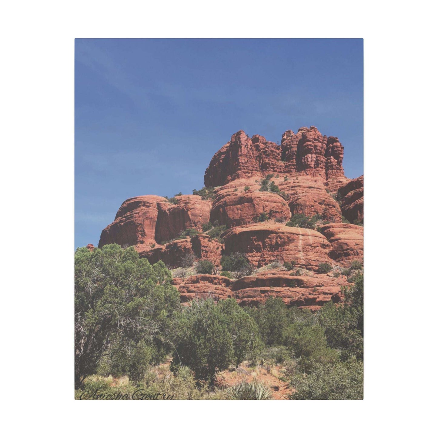 Majestic Red Rock Landscape - Stretched Canvas Wall Art, Wall Decor