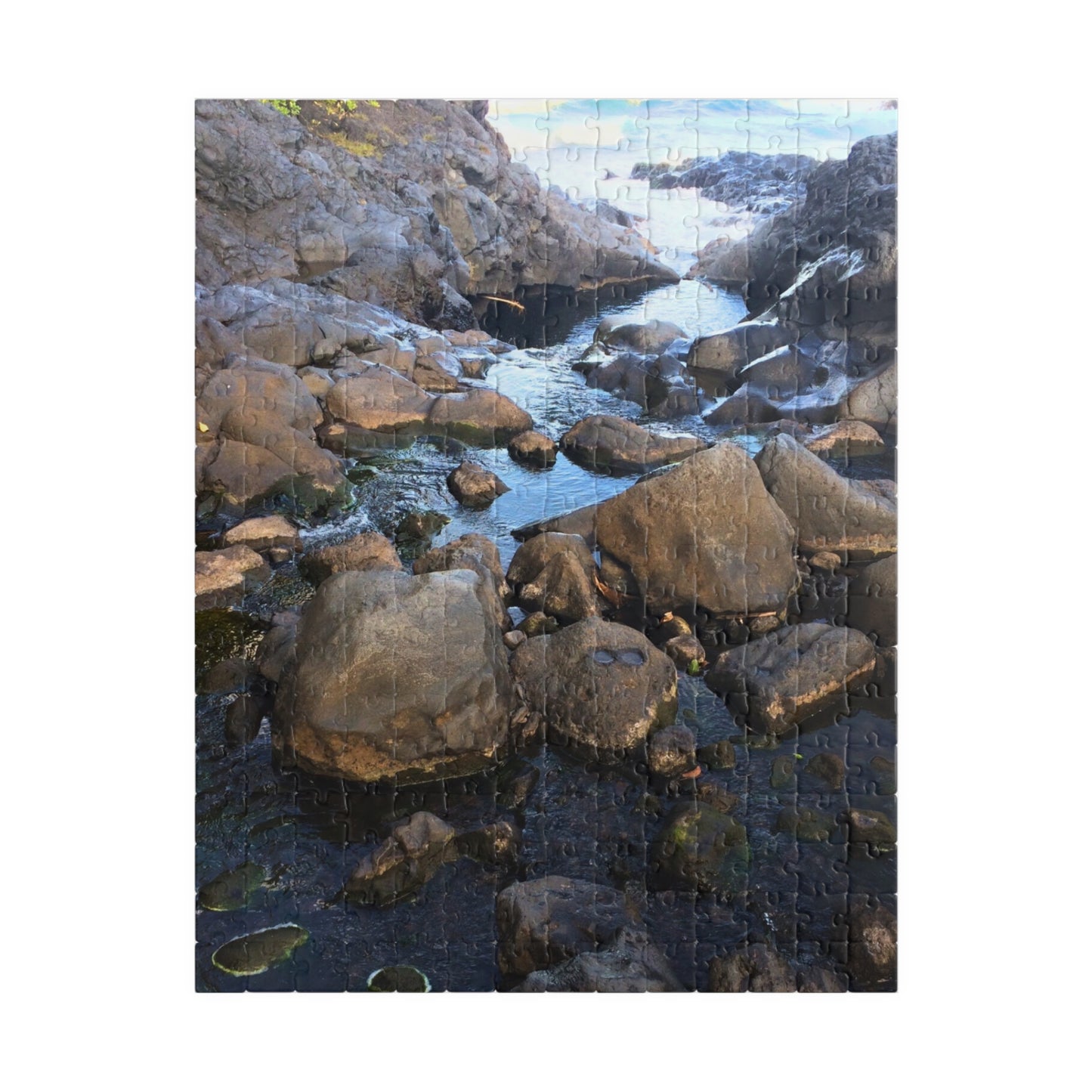Serene Pool Flow Nature Puzzle (110-1014 Pieces)