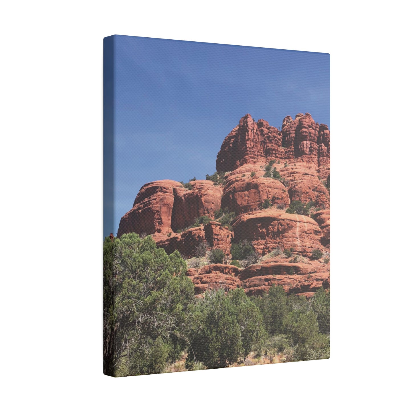 Majestic Red Rock Landscape - Stretched Canvas Wall Art, Wall Decor