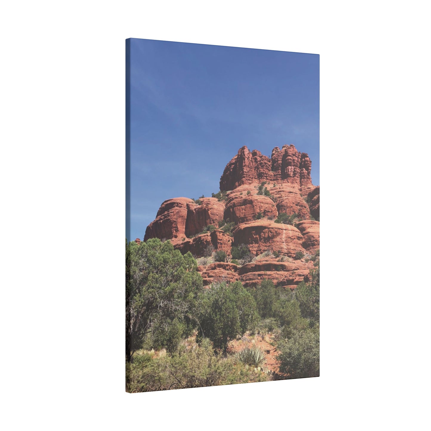 Majestic Red Rock Landscape - Stretched Canvas Wall Art, Wall Decor