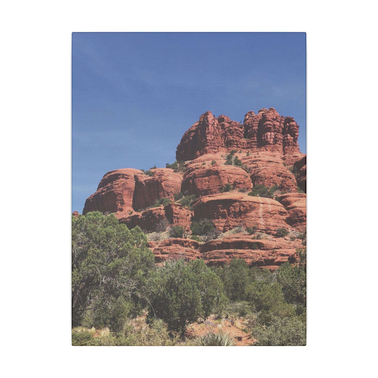 Majestic Red Rock Landscape - Stretched Canvas Wall Art, Wall Decor