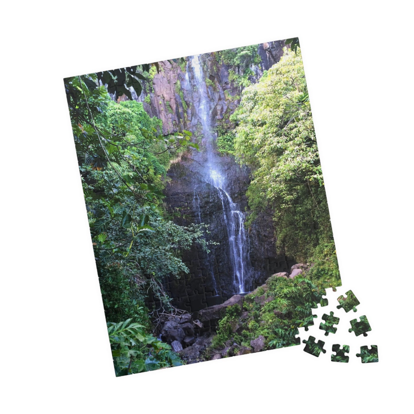 Hidden Waterfall Puzzle - (110 - 1014 Pieces)