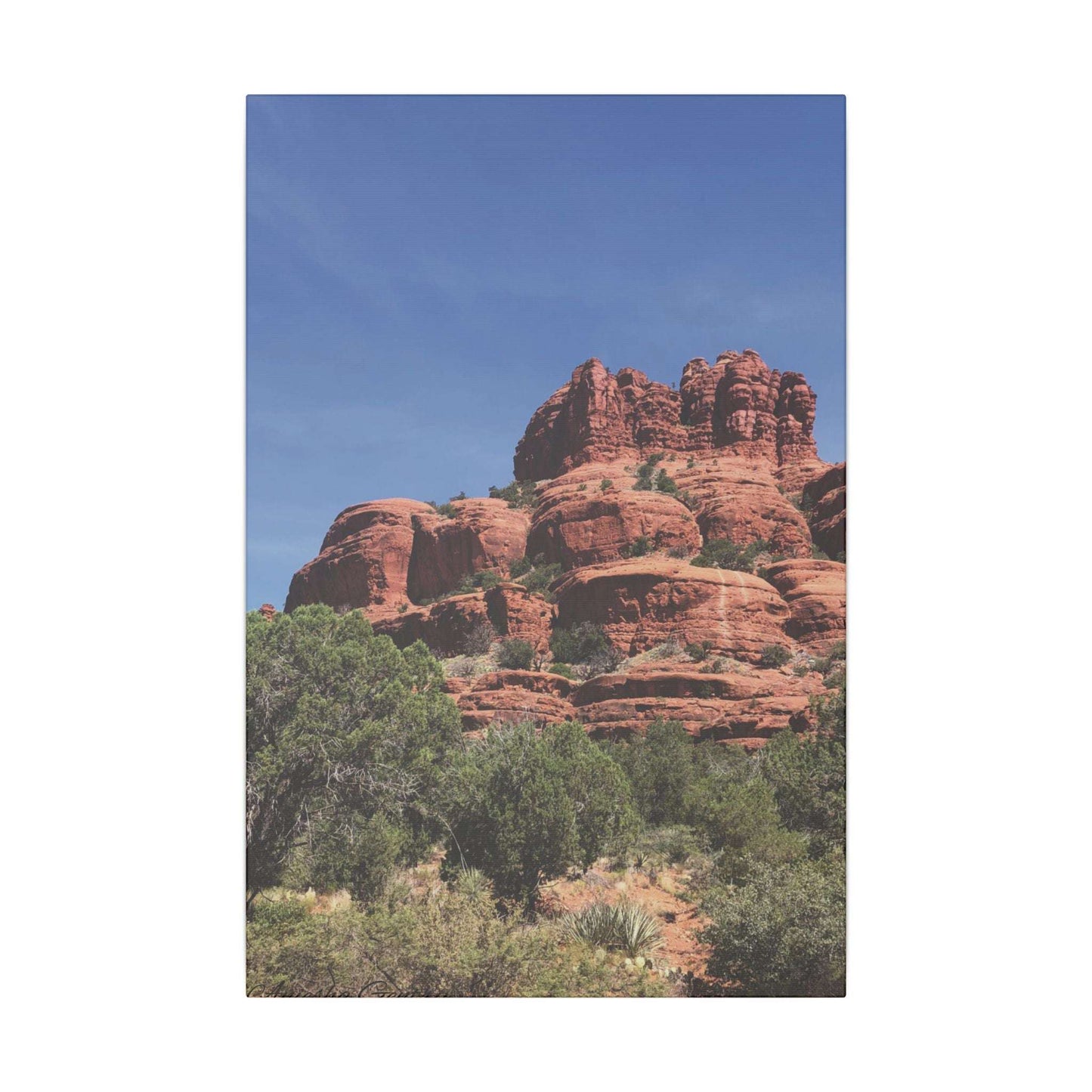 Majestic Red Rock Landscape - Stretched Canvas Wall Art, Wall Decor