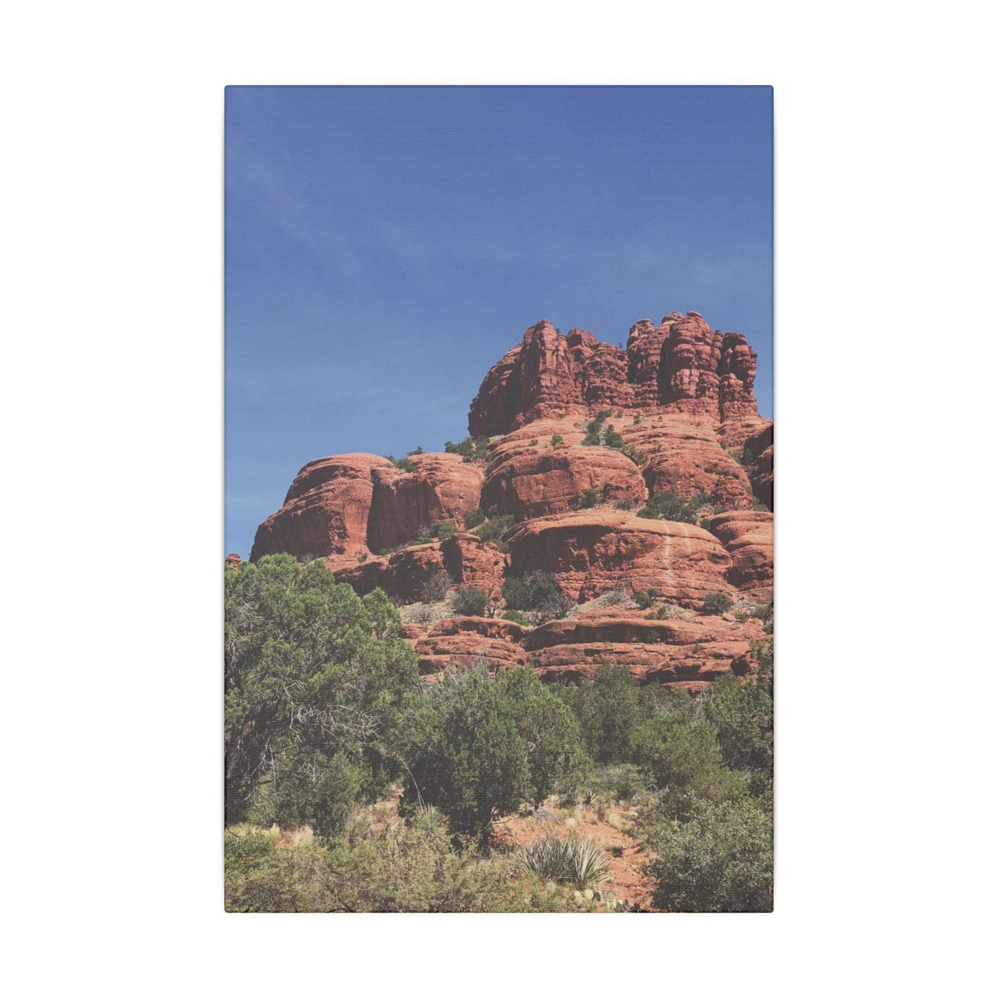 Majestic Red Rock Landscape - Stretched Canvas Wall Art, Wall Decor