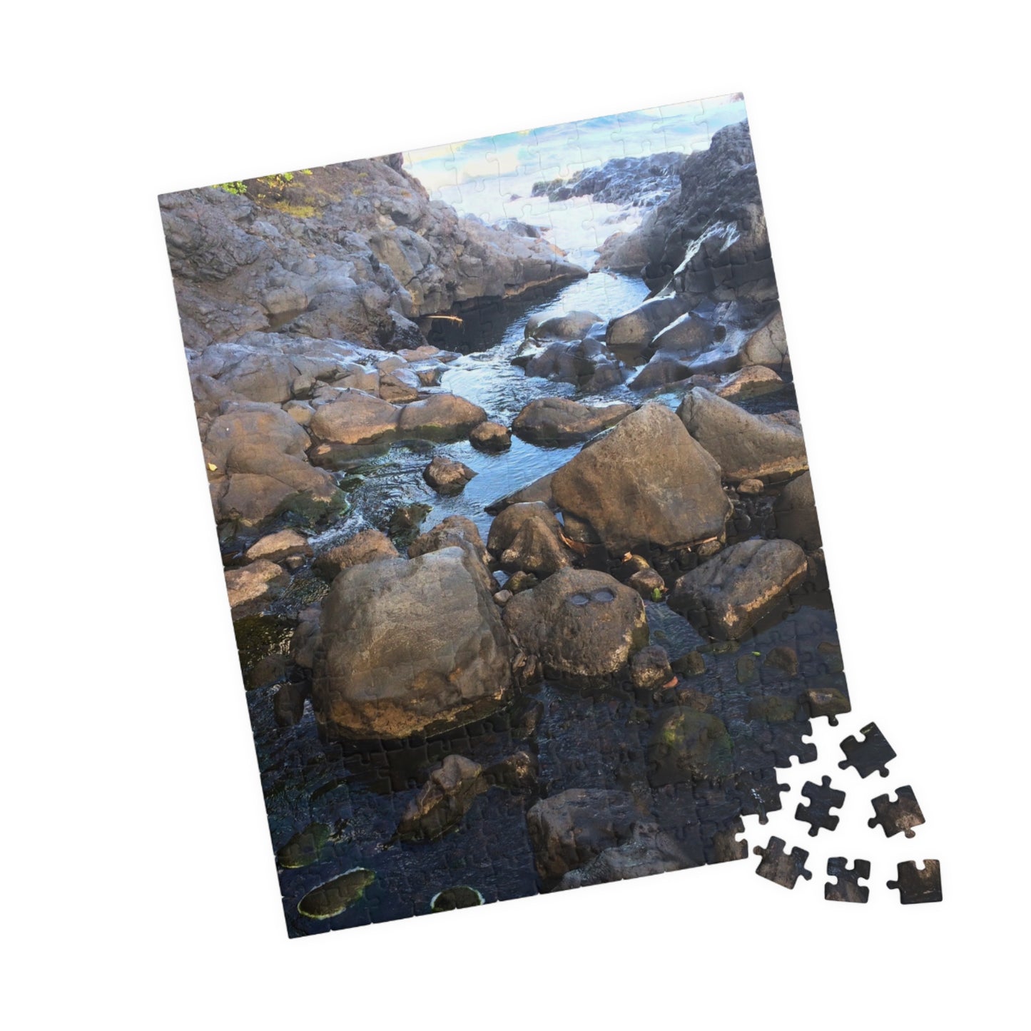 Serene Pool Flow Nature Puzzle (110-1014 Pieces)