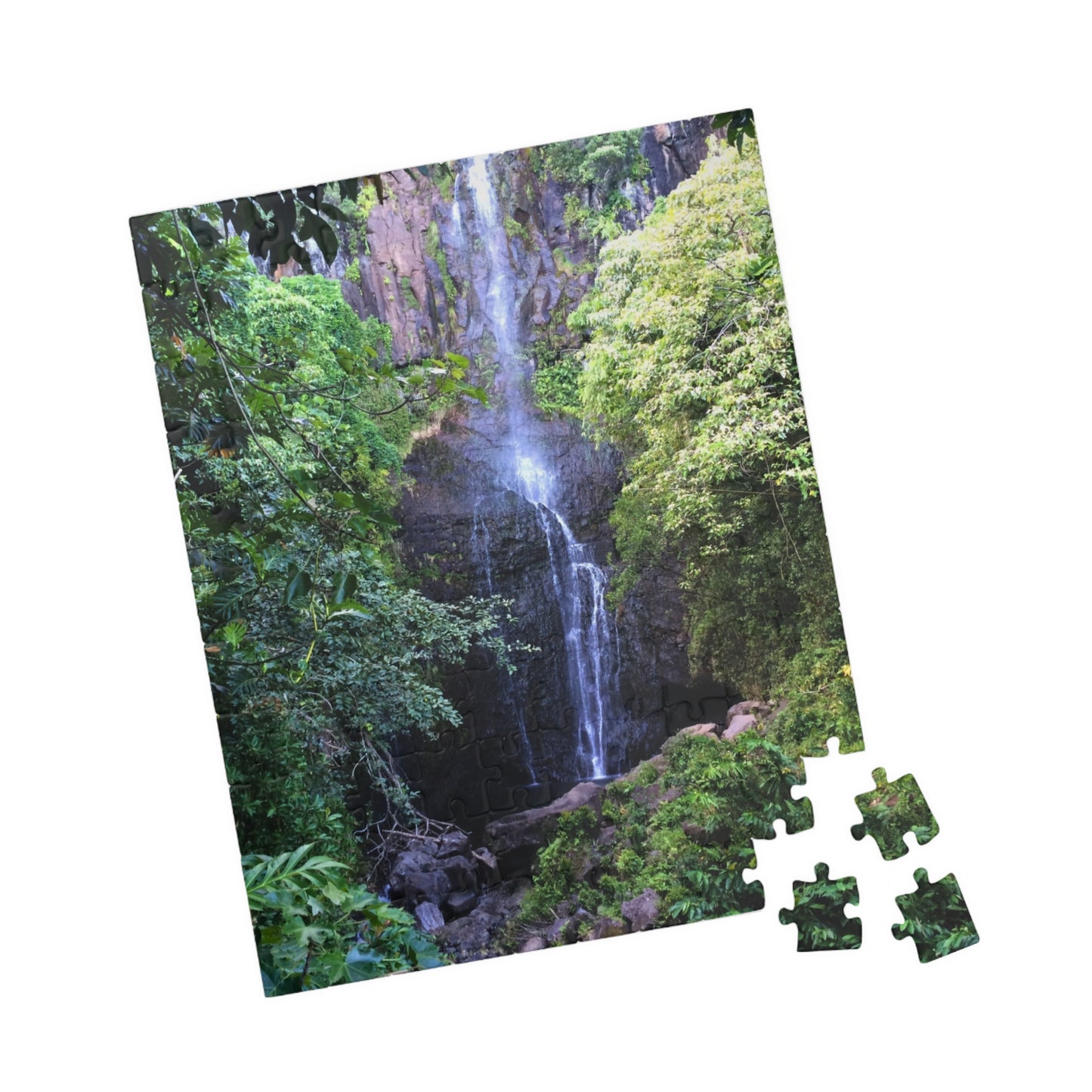 Hidden Waterfall Puzzle - (110 - 1014 Pieces)