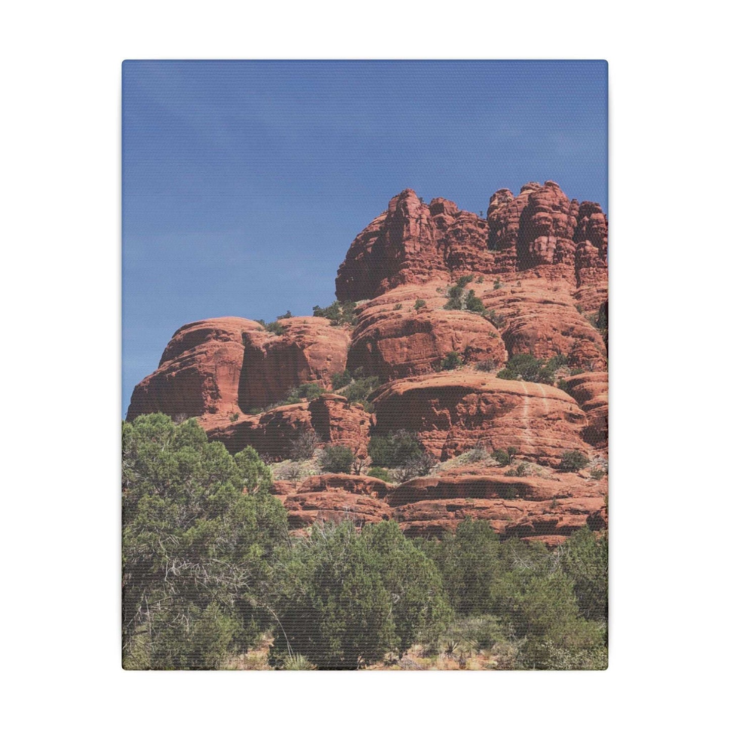 Majestic Red Rock Landscape - Stretched Canvas Wall Art, Wall Decor