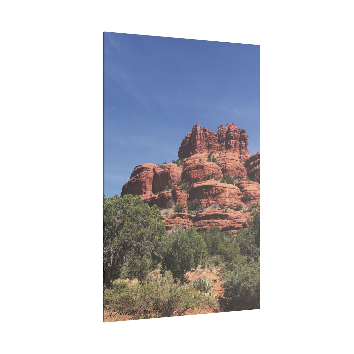 Majestic Red Rock Landscape - Stretched Canvas Wall Art, Wall Decor