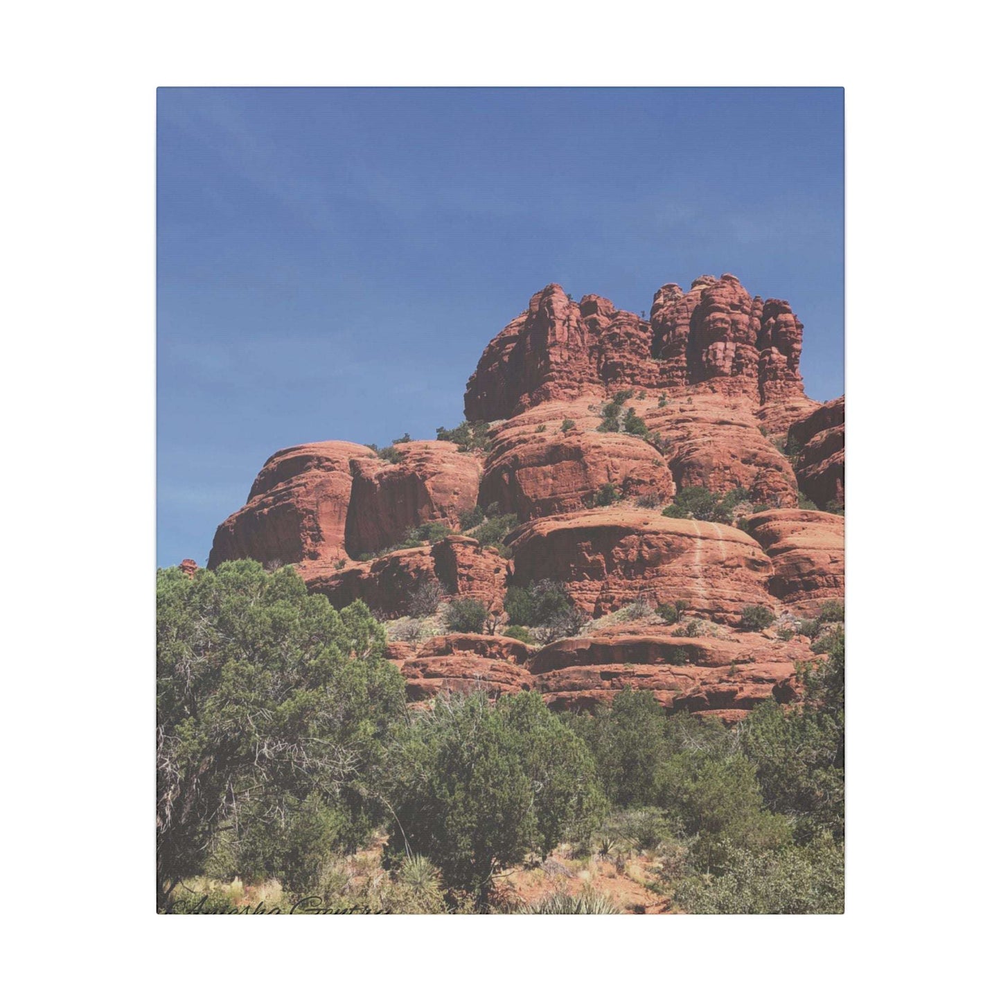 Majestic Red Rock Landscape - Stretched Canvas Wall Art, Wall Decor