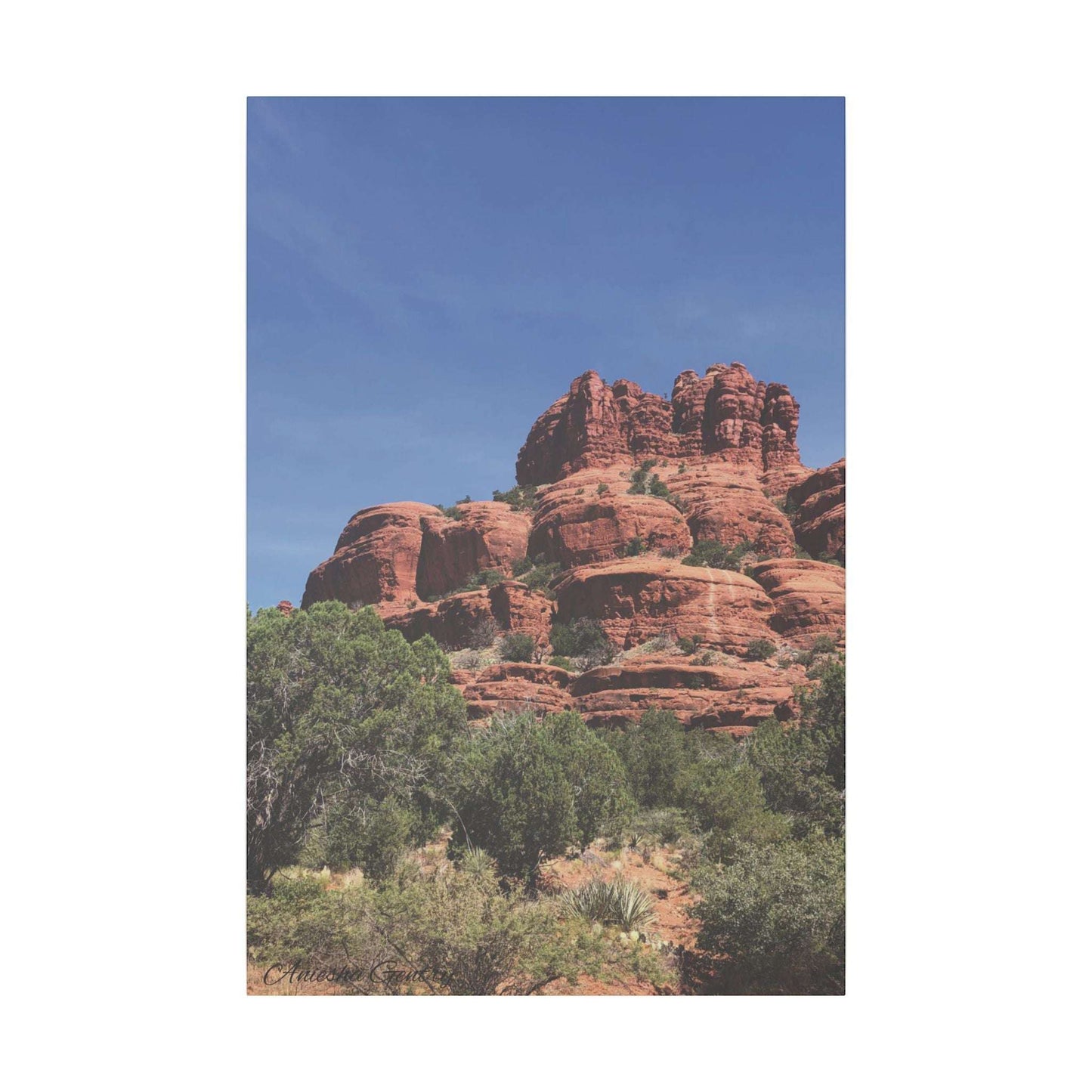 Majestic Red Rock Landscape - Stretched Canvas Wall Art, Wall Decor