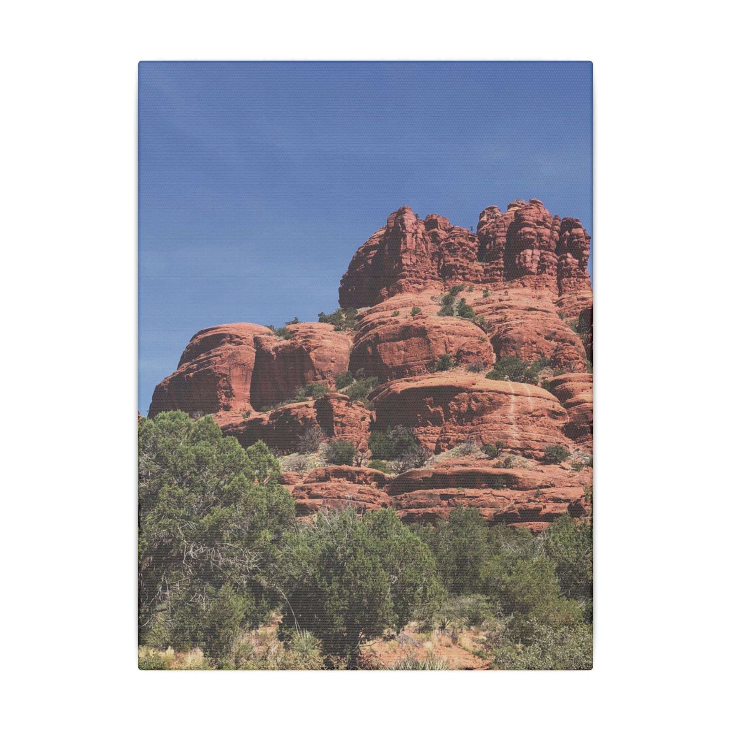 Majestic Red Rock Landscape - Stretched Canvas Wall Art, Wall Decor