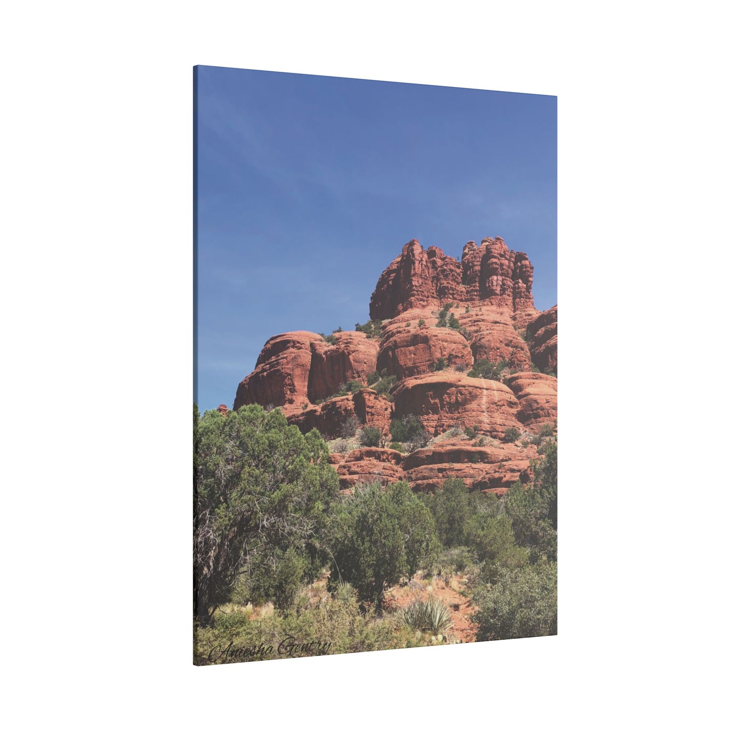 Majestic Red Rock Landscape - Stretched Canvas Wall Art, Wall Decor
