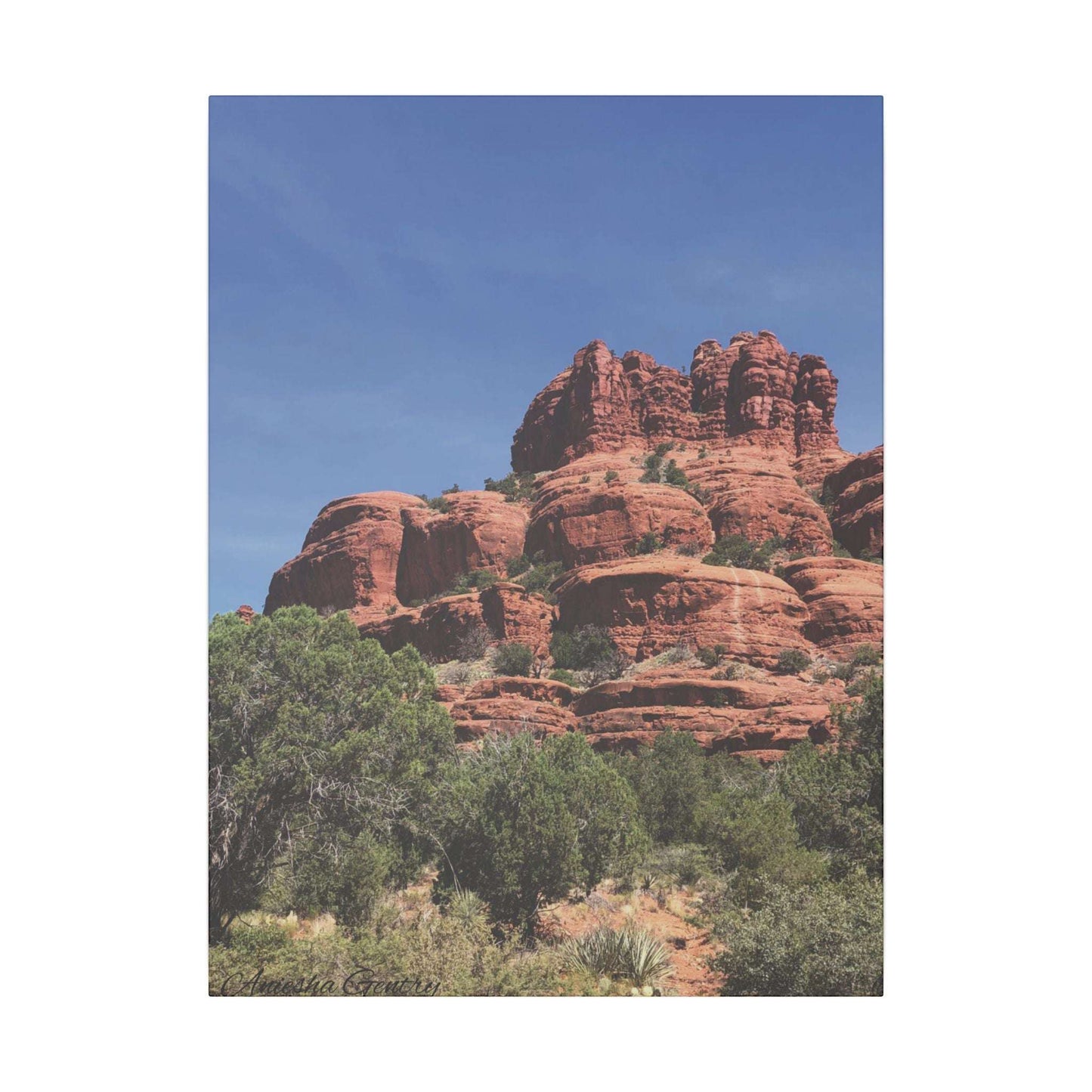 Majestic Red Rock Landscape - Stretched Canvas Wall Art, Wall Decor