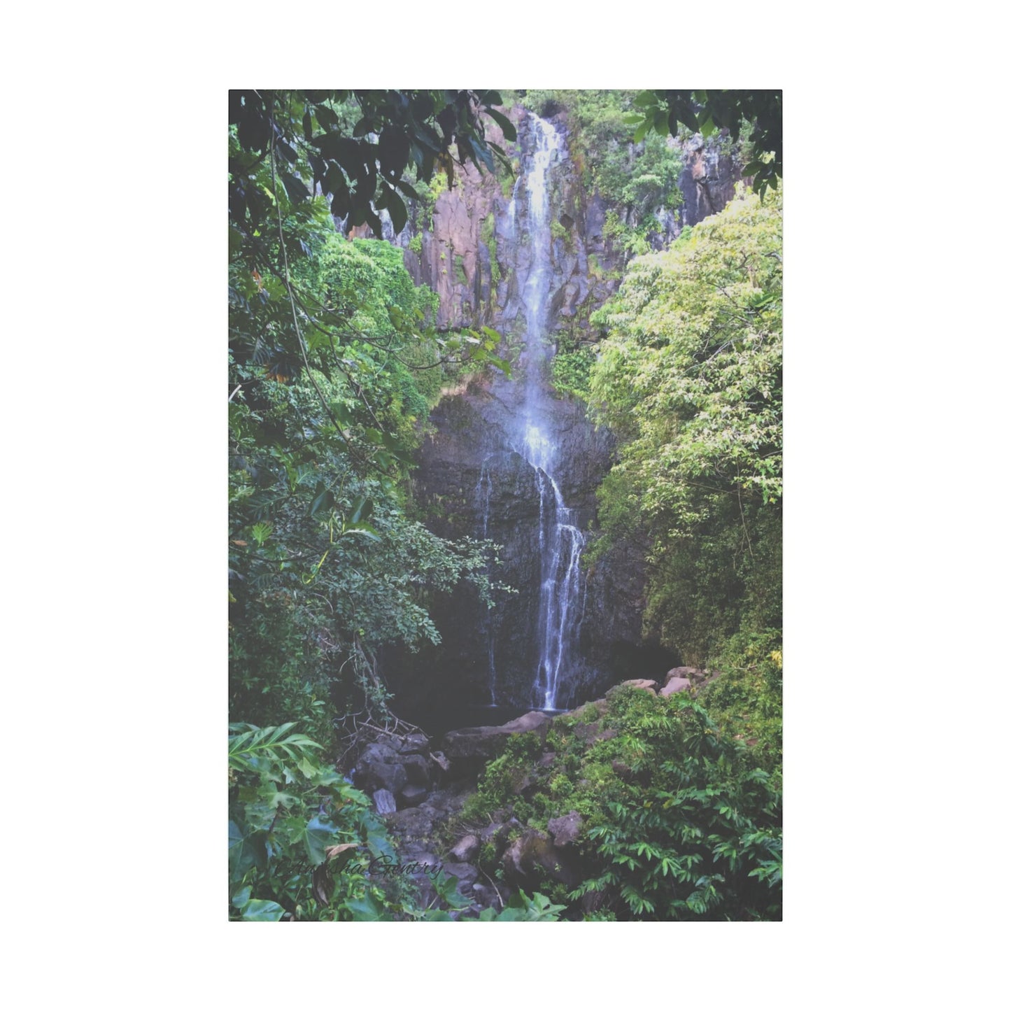 Hidden Waterfall - Stretched Matte Canvas Art Print for Nature Lovers