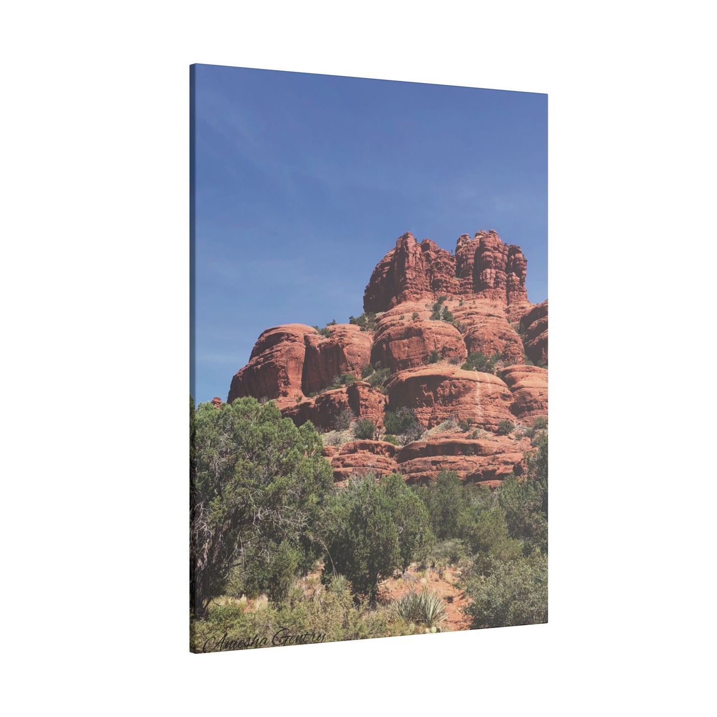 Majestic Red Rock Landscape - Stretched Canvas Wall Art, Wall Decor
