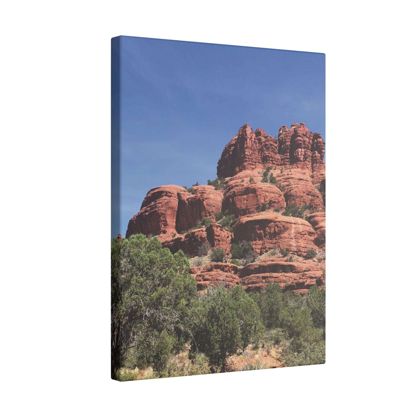 Majestic Red Rock Landscape - Stretched Canvas Wall Art, Wall Decor