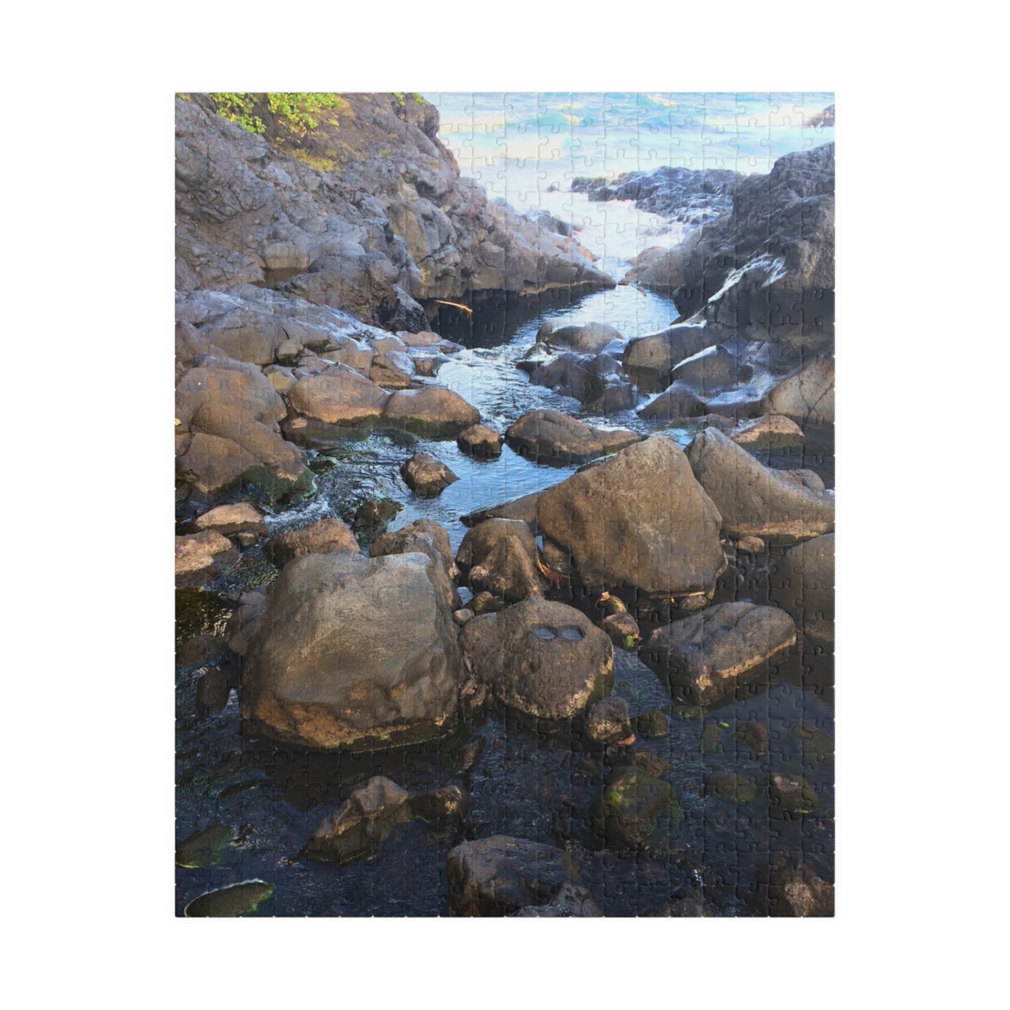 Serene Pool Flow Nature Puzzle (110-1014 Pieces)