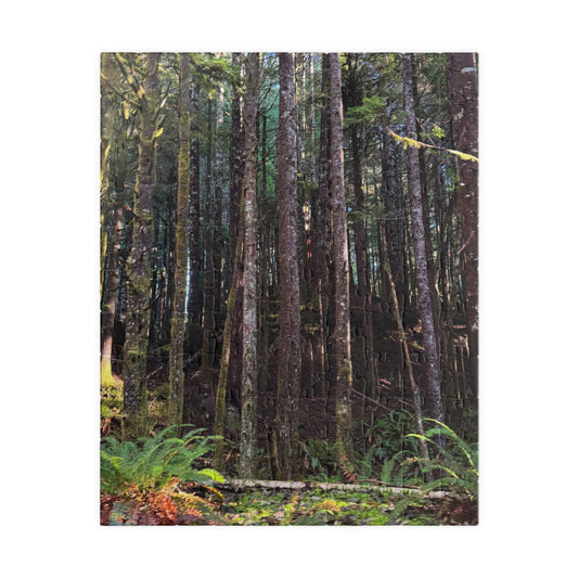 Tranquil Trees Nature Puzzle - (110 - 1014 Pieces)