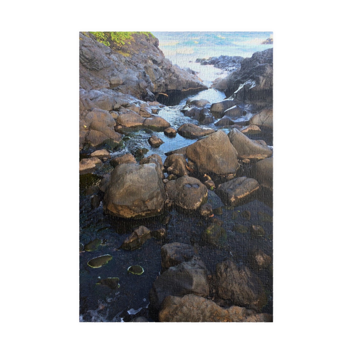 Serene Pool Flow Nature Puzzle (110-1014 Pieces)