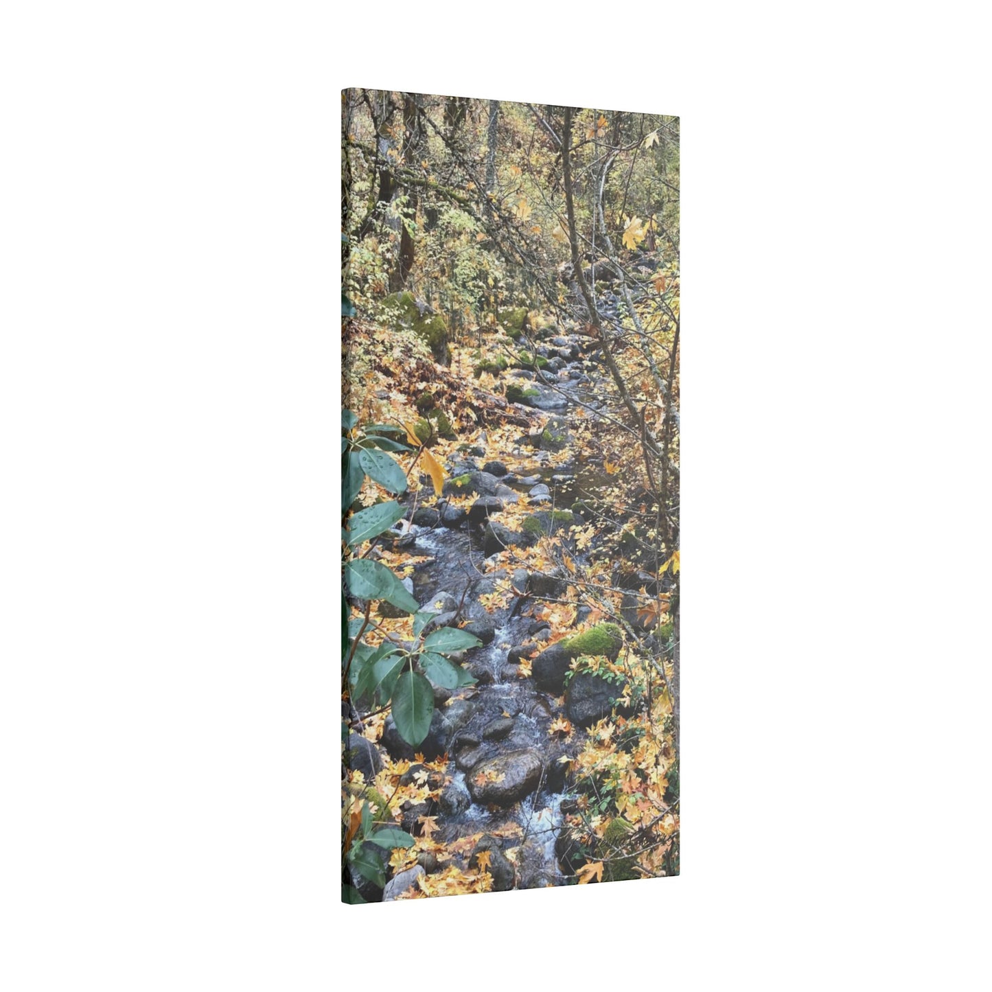 Hike in the Forest -  Stretched Matte Canvas Wall Art, Wall Decor