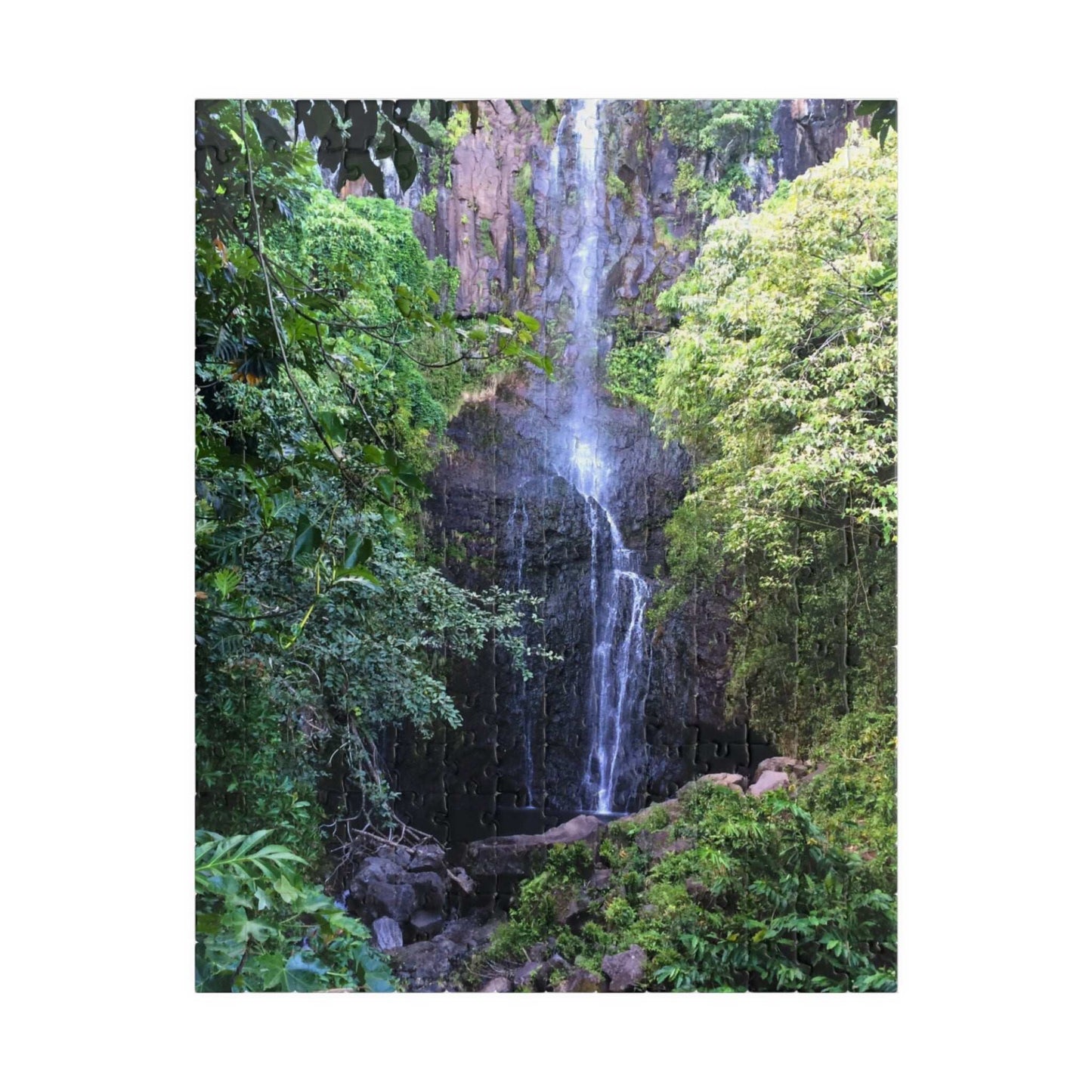 Hidden Waterfall Puzzle - 110 to 1014 Pieces