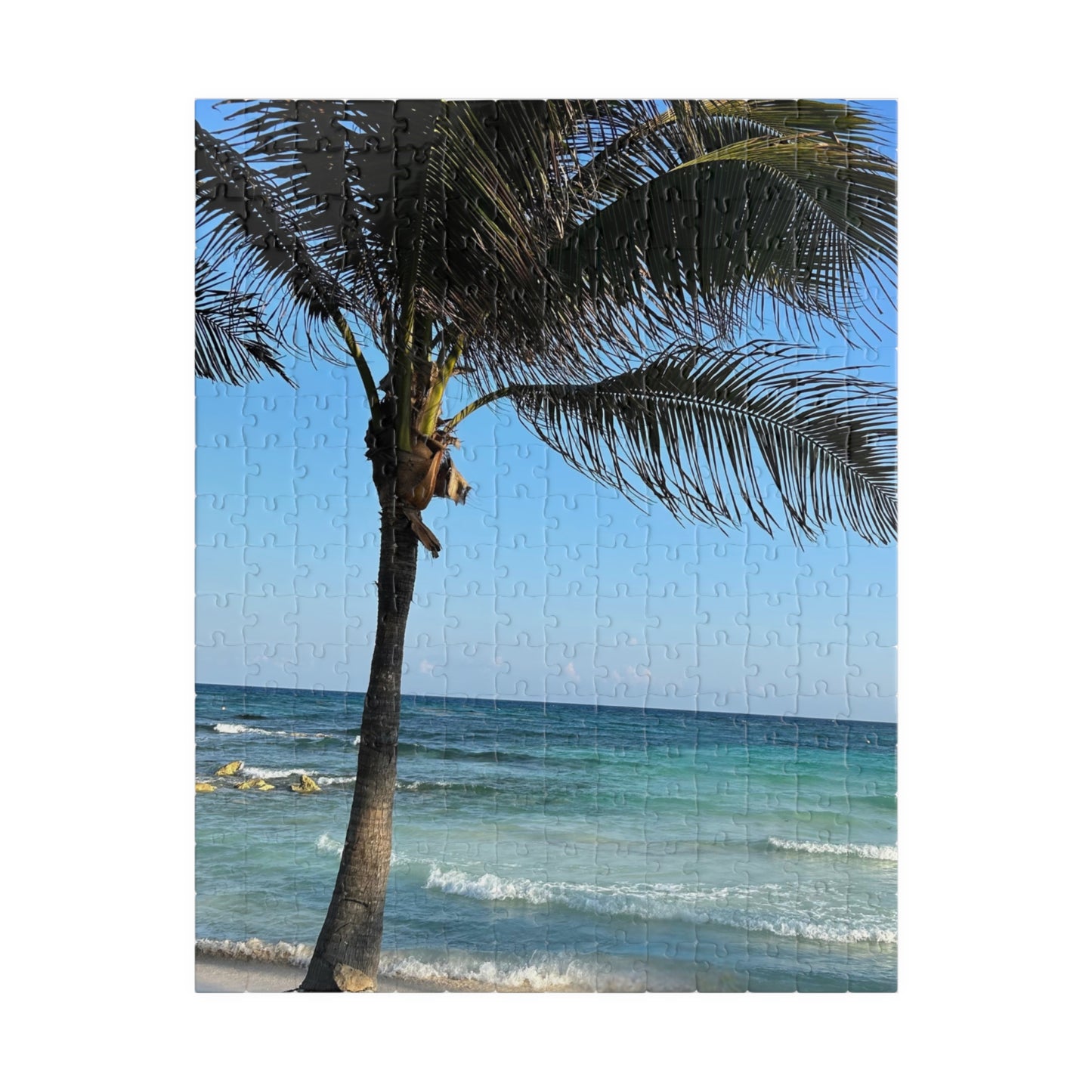 Tropical Vacation Palm Tree Beach Puzzle — Ocean Shore Jigsaw (110–1014 Pieces)
