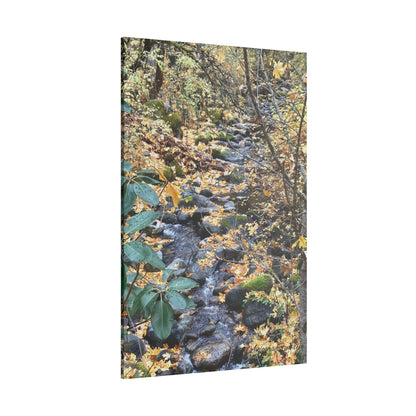 Hike in the Forest -  Stretched Matte Canvas Wall Art, Wall Decor