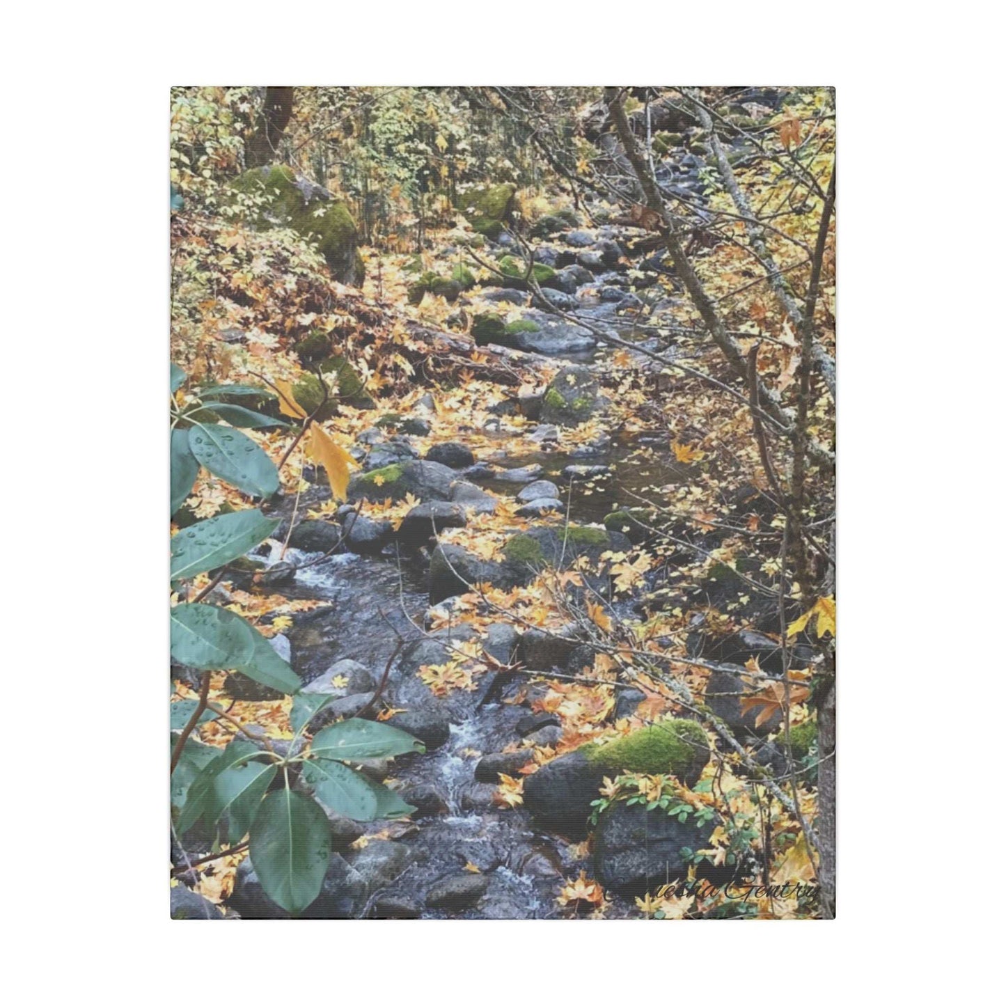 Hike in the Forest -  Stretched Matte Canvas Wall Art, Wall Decor