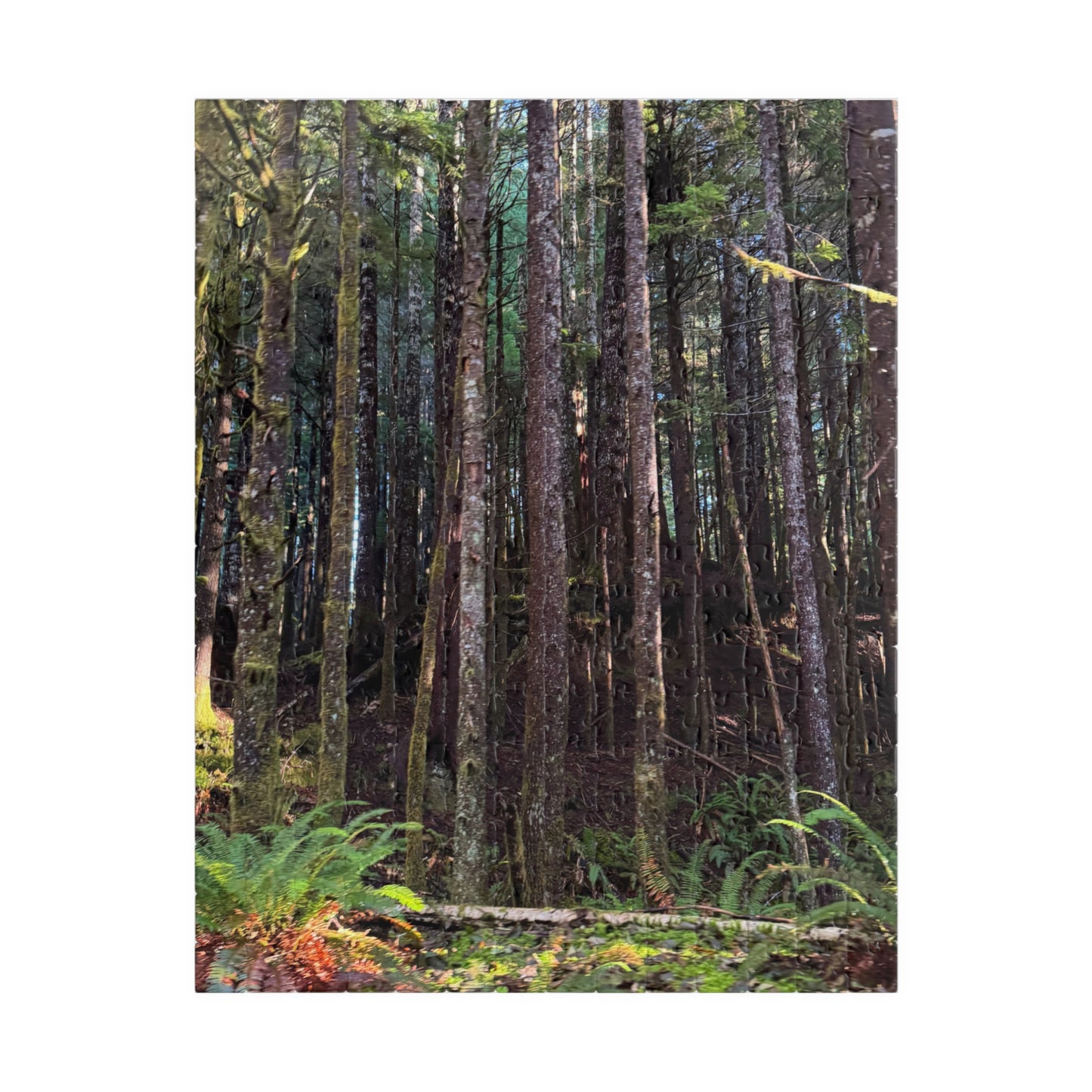 Tranquil Trees Nature Puzzle - (110 - 1014 Pieces)