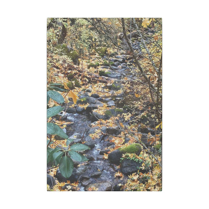 Hike in the Forest -  Stretched Matte Canvas Wall Art, Wall Decor