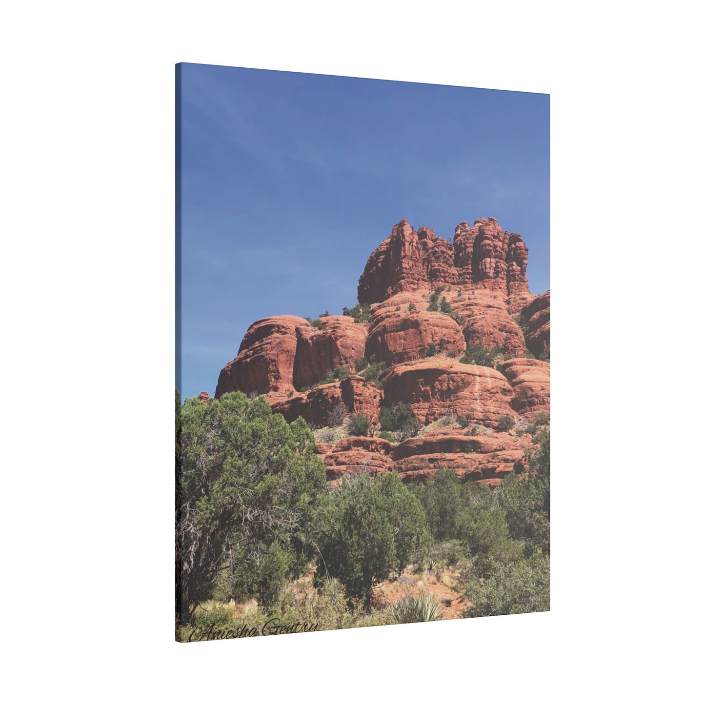 Majestic Red Rock Landscape -  Stretched Canvas Wall Art, Wall Decor