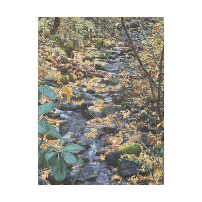 Hike in the Forest -  Stretched Matte Canvas Wall Art, Wall Decor