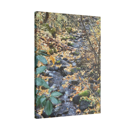 Hike in the Forest -  Stretched Matte Canvas Wall Art, Wall Decor