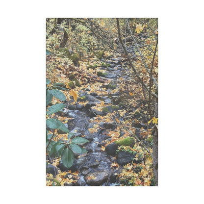 Hike in the Forest -  Stretched Matte Canvas Wall Art, Wall Decor