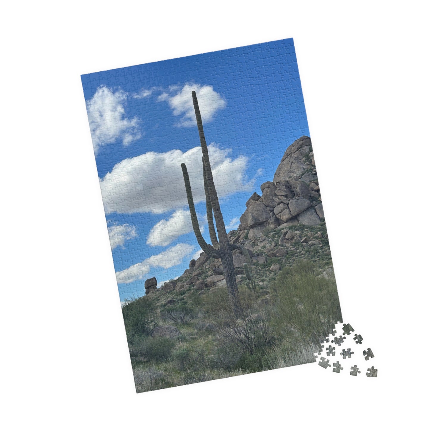 Arizona Desert Saguaro Cactus Scenic Puzzle —(110–1014 pieces)