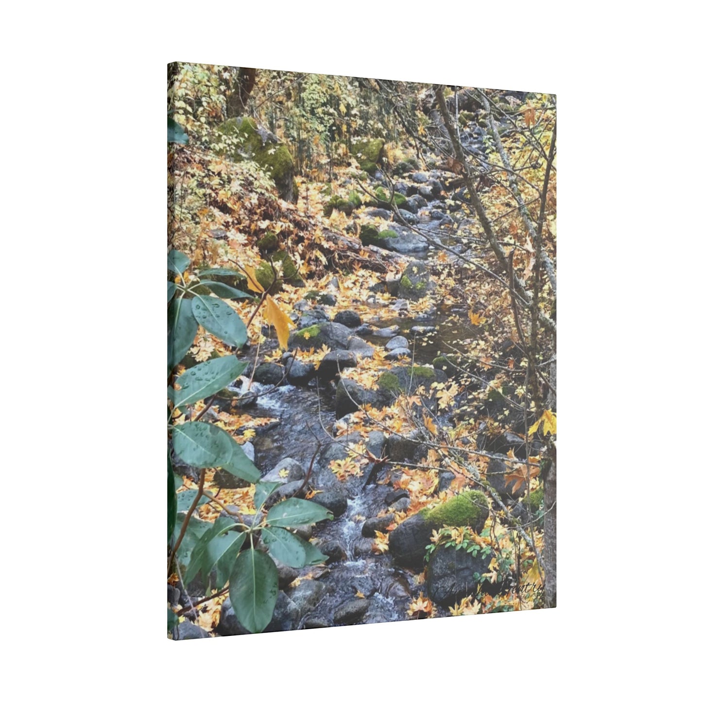 Hike in the Forest -  Stretched Matte Canvas Wall Art, Wall Decor