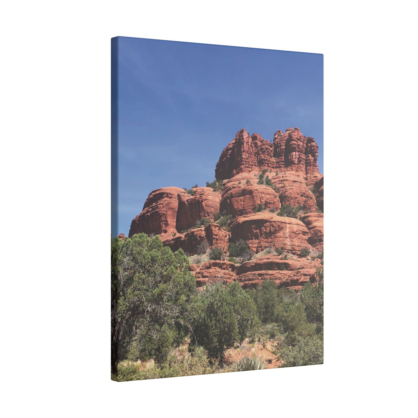 Majestic Red Rock Landscape -  Stretched Canvas Wall Art, Wall Decor