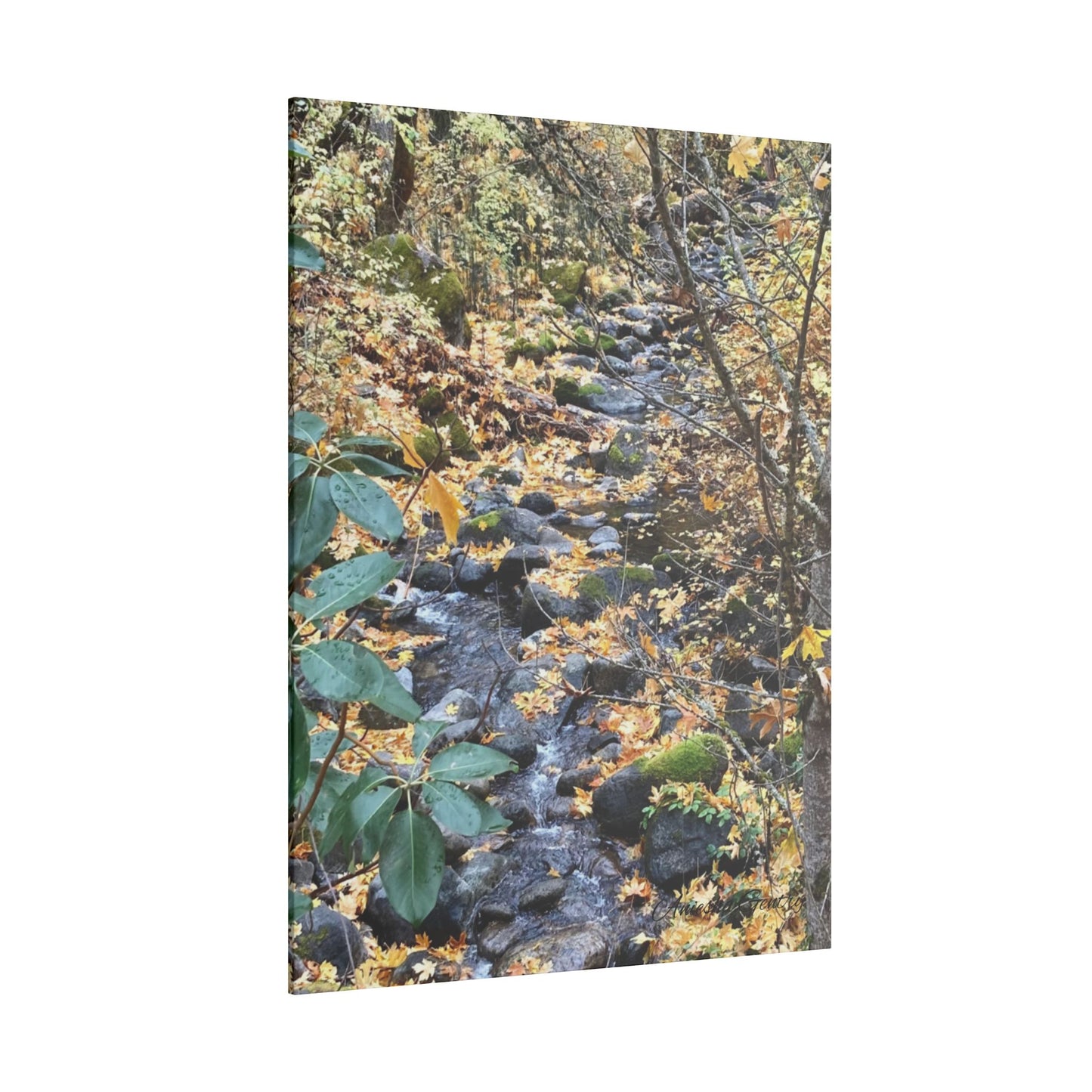 Hike in the Forest -  Stretched Matte Canvas Wall Art, Wall Decor