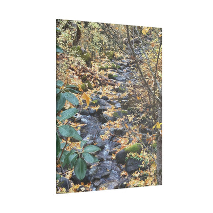 Hike in the Forest -  Stretched Matte Canvas Wall Art, Wall Decor