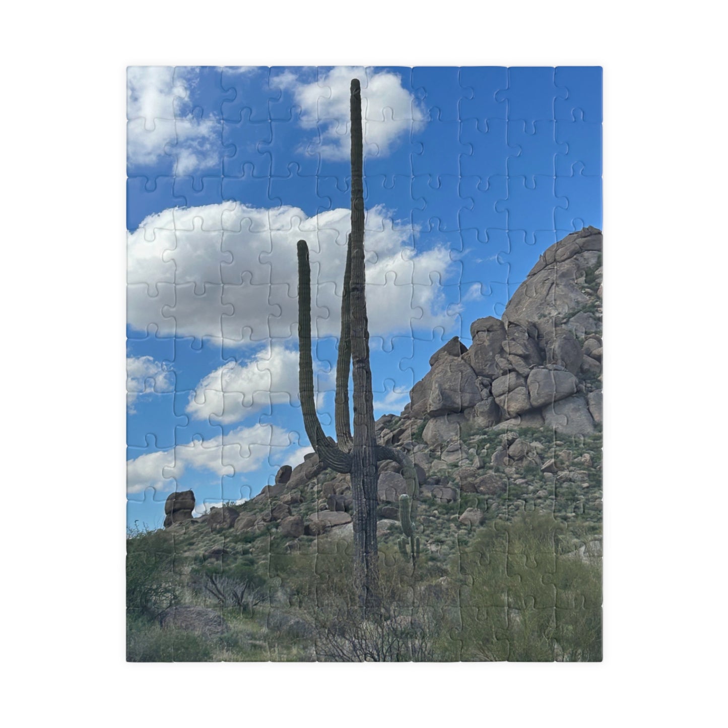 Arizona Desert Saguaro Cactus Scenic Puzzle —(110–1014 pieces)