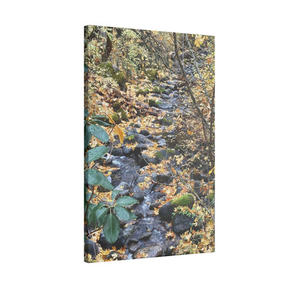 Hike in the Forest -  Stretched Matte Canvas Wall Art, Wall Decor